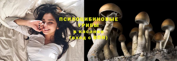 прущий лед Магас