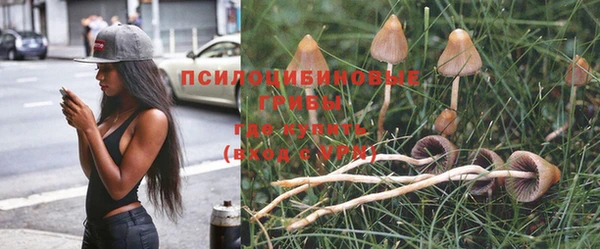 трава Аксай