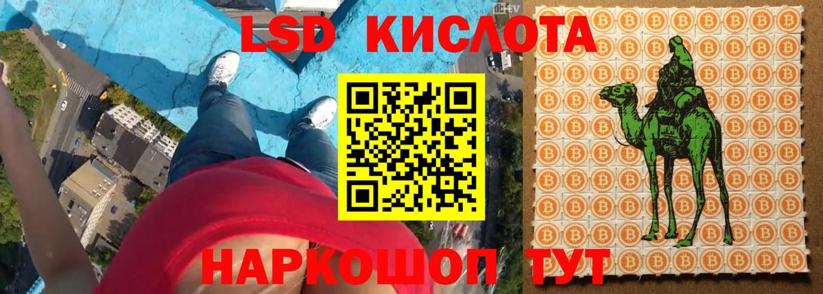   ссылки  Вход с VPN  Шали  LSD-25 экстази кислота  Лсд 25 экстази кислота 