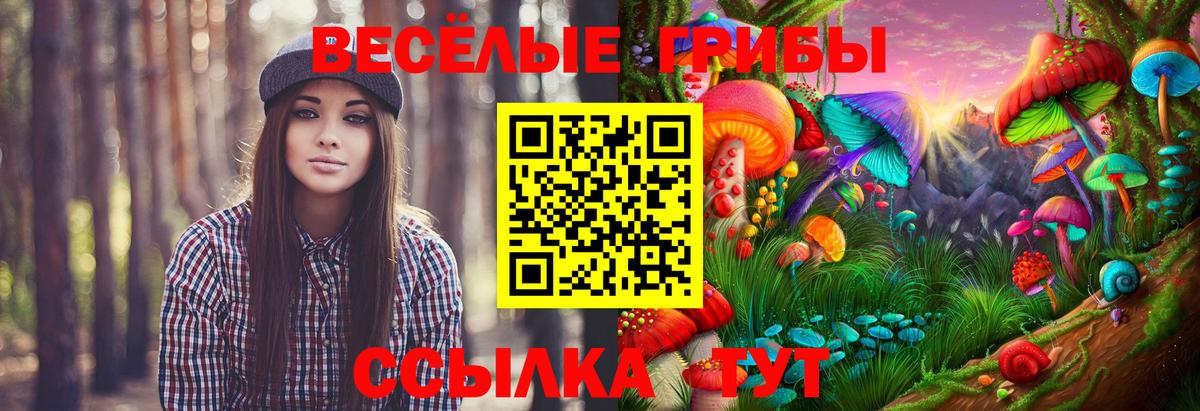 закладка  Галлюциногенные грибы мухоморы  Шали  Псилоцибиновые грибы Psilocybe 