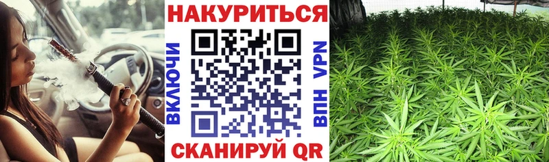 Шишки марихуана THC 21%  где купить наркоту  Шали 